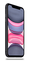 iPhone 11 Recommerce