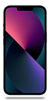 iPhone 13 Reborn